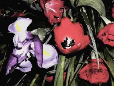 black and white flowers with color. Color Flowers 2002. Image #15